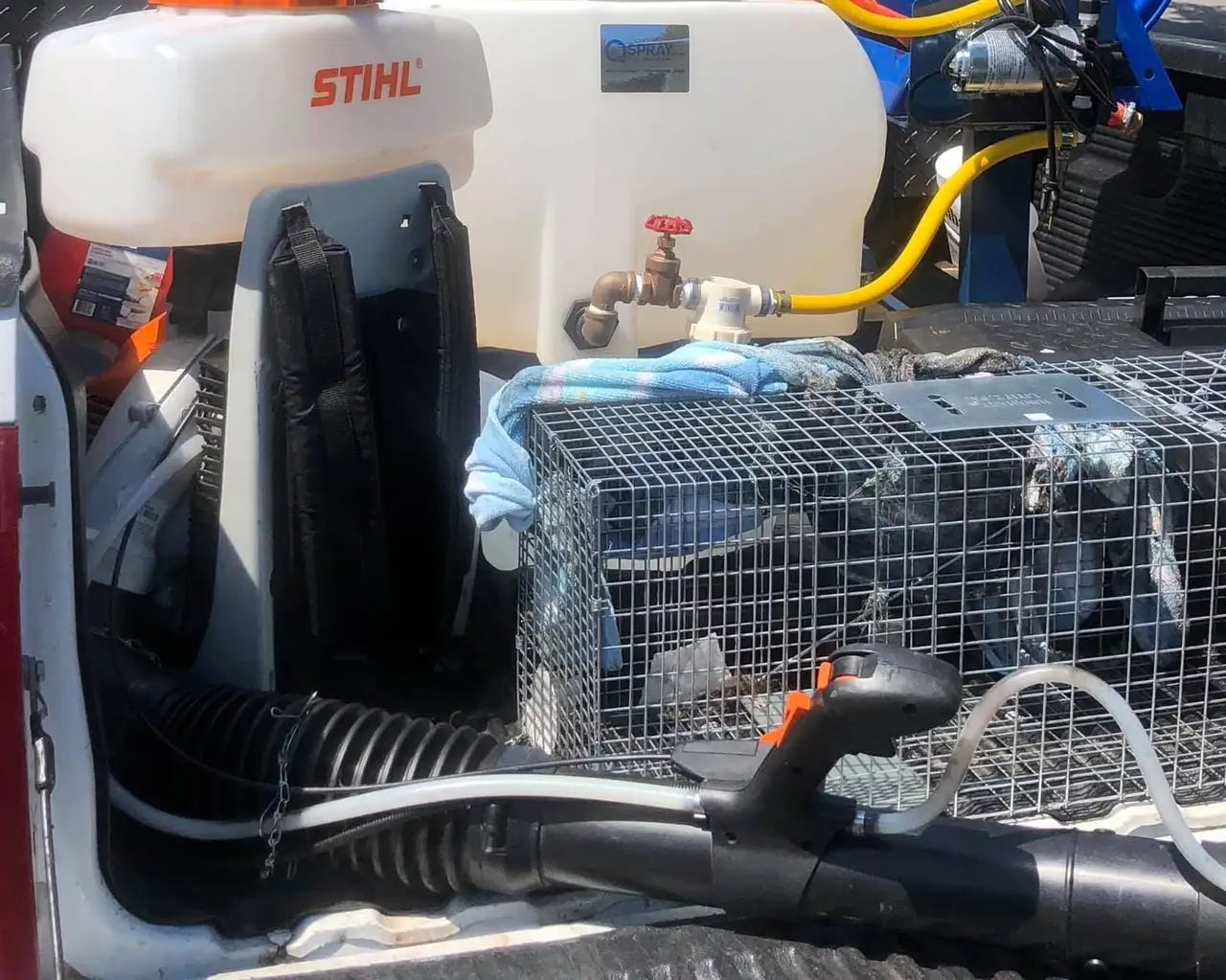 Backpack sprayer, treatment tank with hose and a live-animal cage trap in the bed of the company truck
